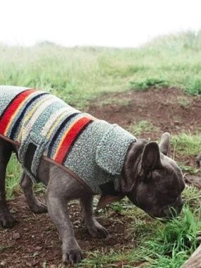 Pendleton Dog Coat sz S